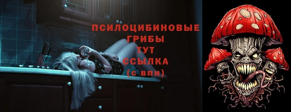 прущий лед Алзамай