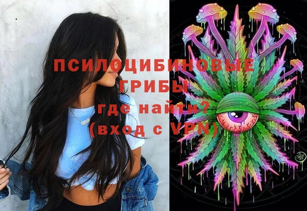 прущий лед Алзамай