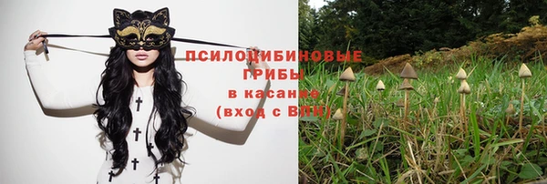 PSILOCYBIN Алексеевка