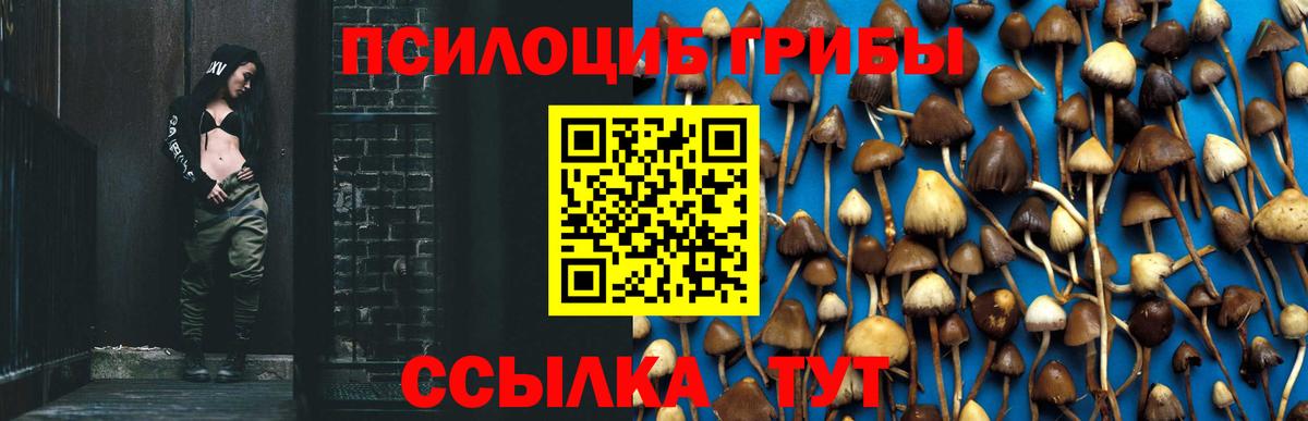 Псилоцибиновые грибы MAGIC MUSHROOMS Ухта